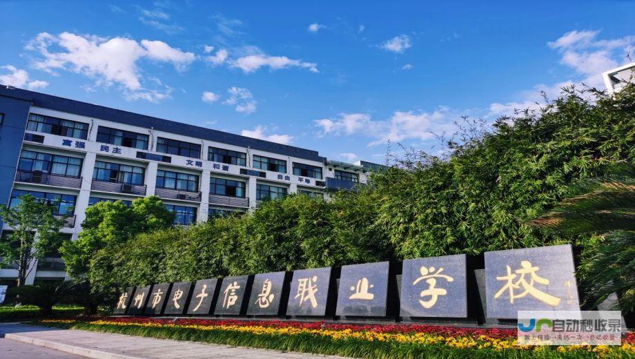 选择杭州专业的网站建设公司，提升品牌形象，拓展市场新机遇